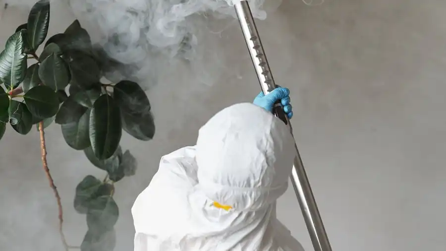 Pest Control