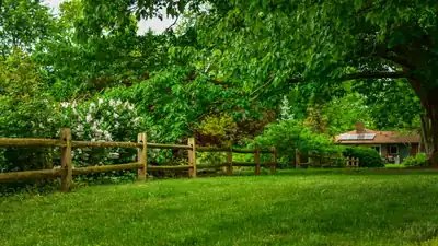 Fencing