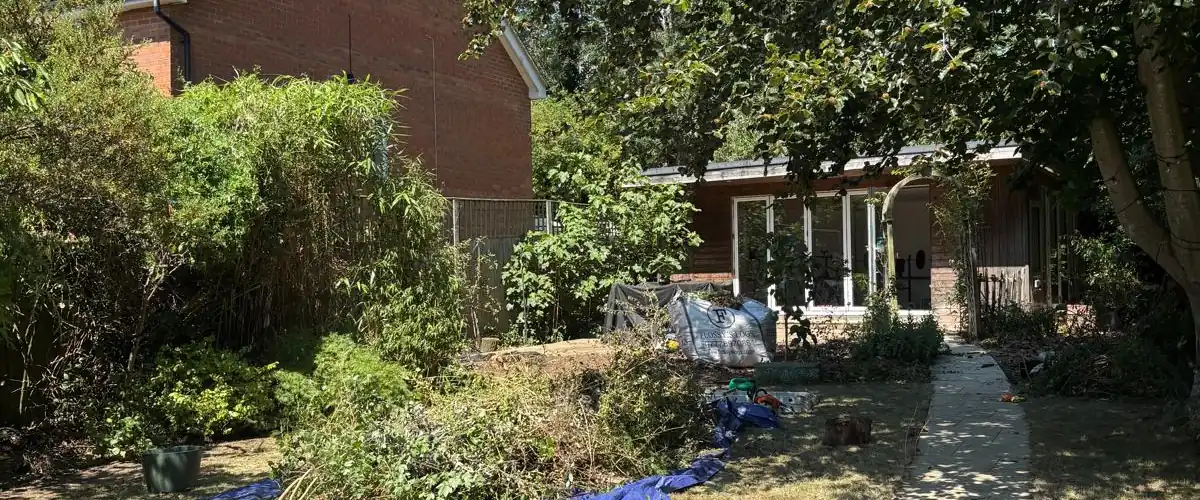 Tree Surgery